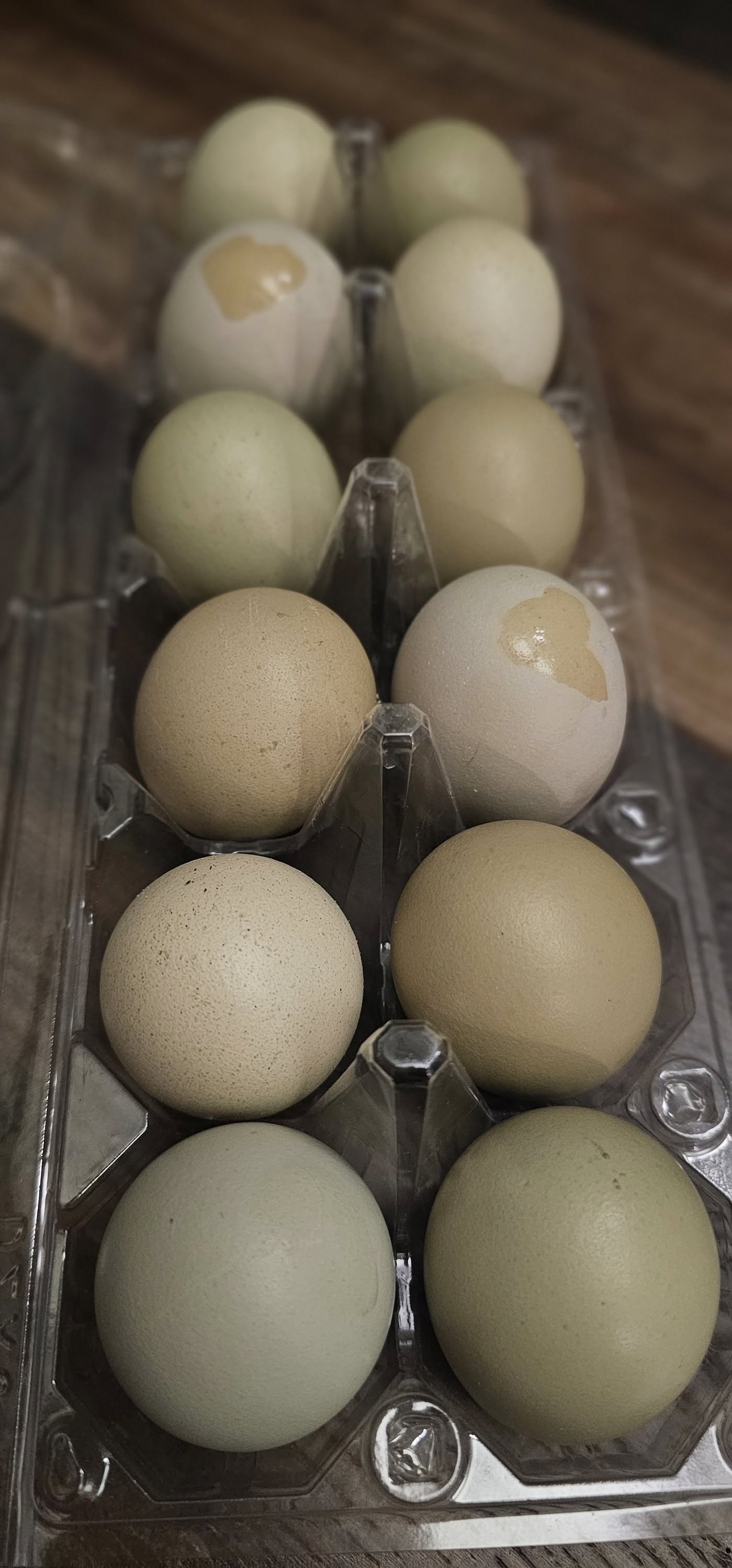 Multigeneration Olives